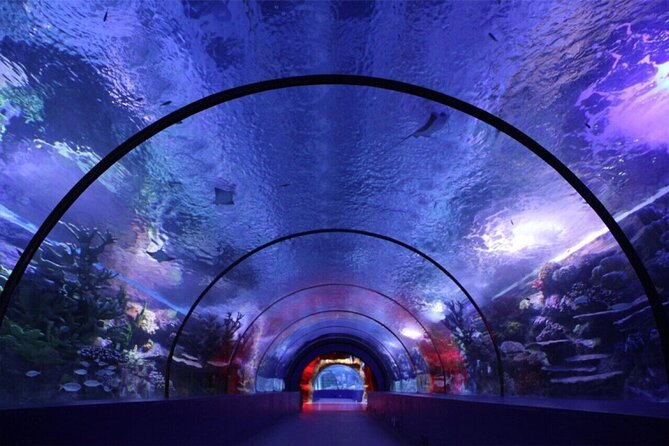Antalya`S Aquarium Guided Day Tour - Good To Know