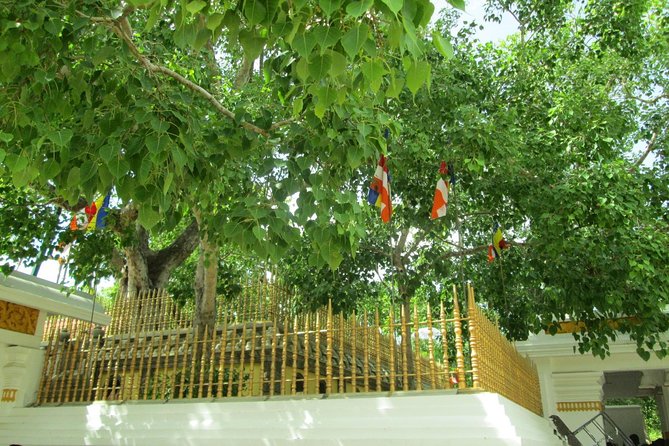 Anuradhapura and Aukana All Inclusive Day Tour From Colombo - Good To Know