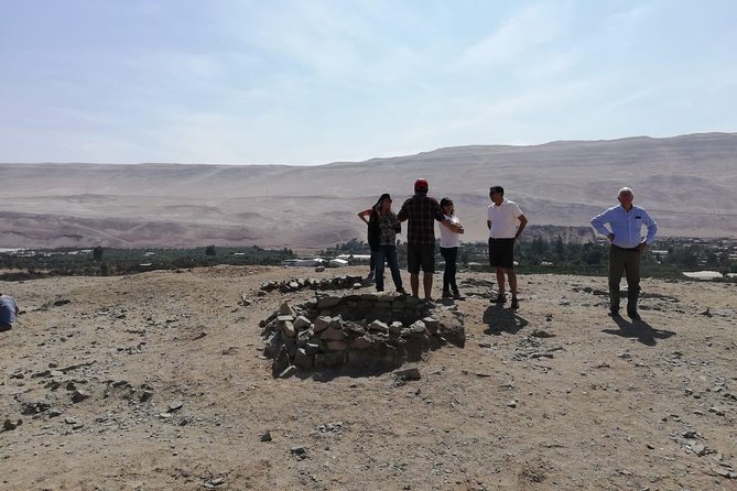 4 Best Tours In Arica