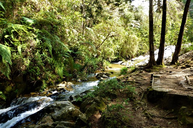 Arvi Park (Private Tour) - Good To Know