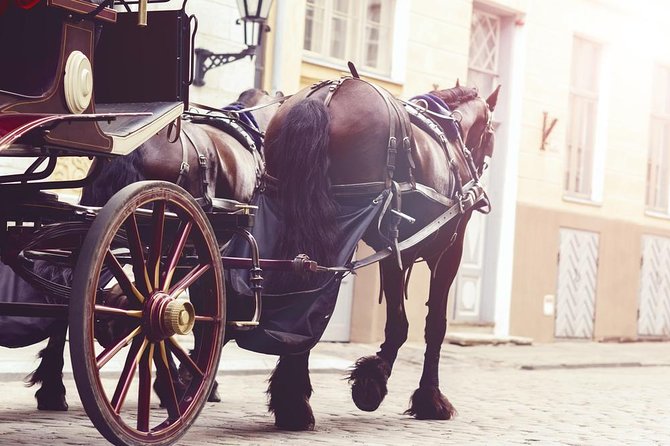 Aswan City Private Tour By Horse Carriage - Good To Know