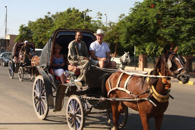 Aswan City Tour on Horse Carriage - Good To Know