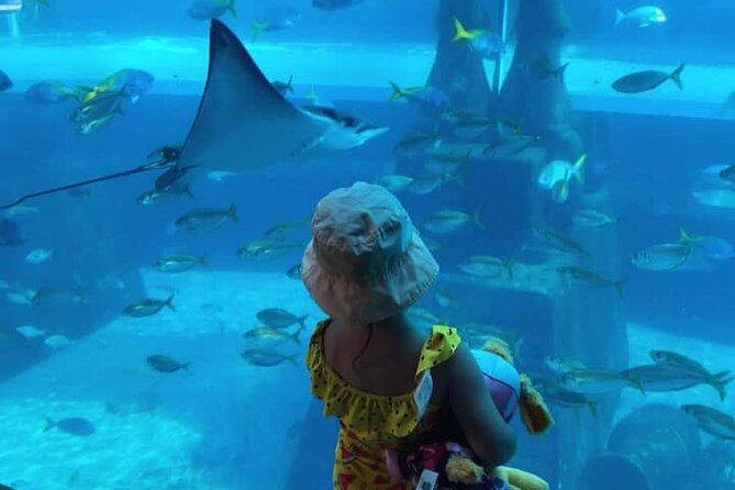 Atlantis Aquaventure and Lost Chamber Tickets - Good To Know