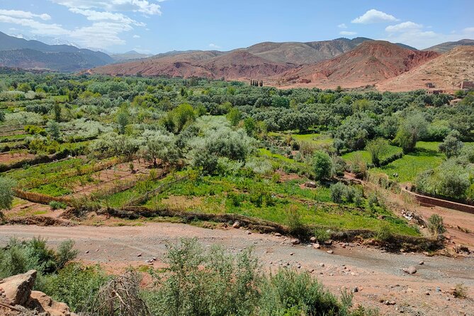 Atlas Mountains Journey, Camel Ride, Berber Villages & Waterfalls - Good To Know