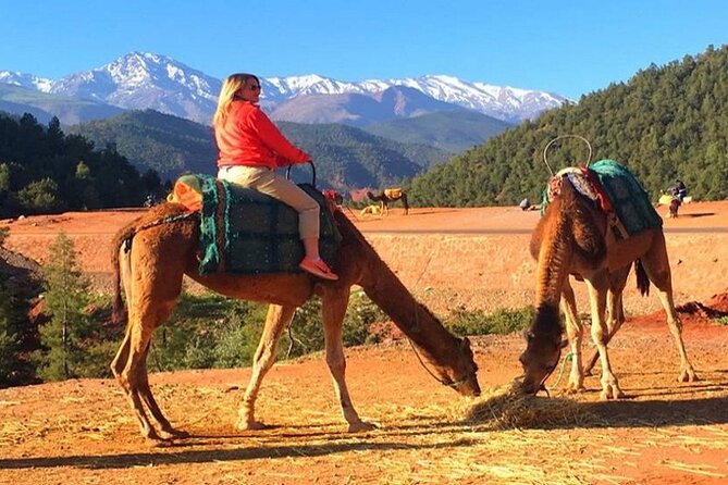Atlas Mountains & Three Valleys With Camel Ride - Good To Know