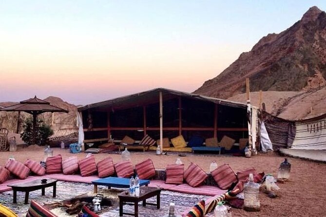 ATV Quad Bike Amazing Safari and Camel Ride From Hurghada - Activity Details