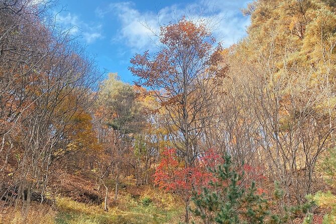 Autumn Trip for Birch Forest and Garden of Nature and Flower Fest - Good To Know