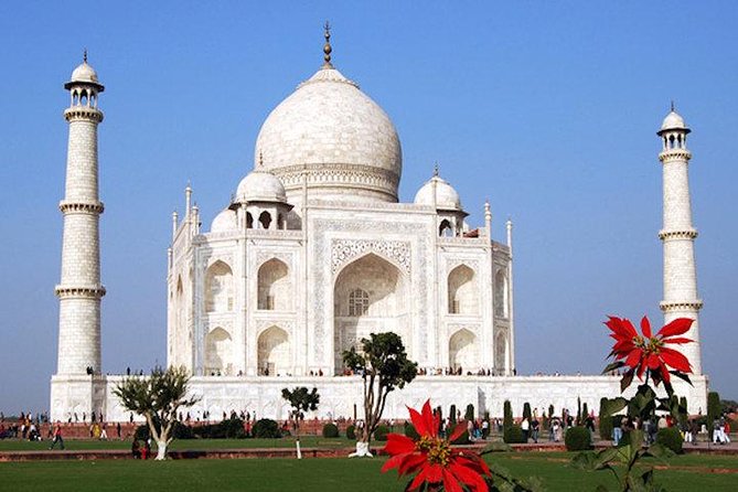 Avail No Shopping Taj Mahal Tour Guide in Multi Languages - Tour Location and Services