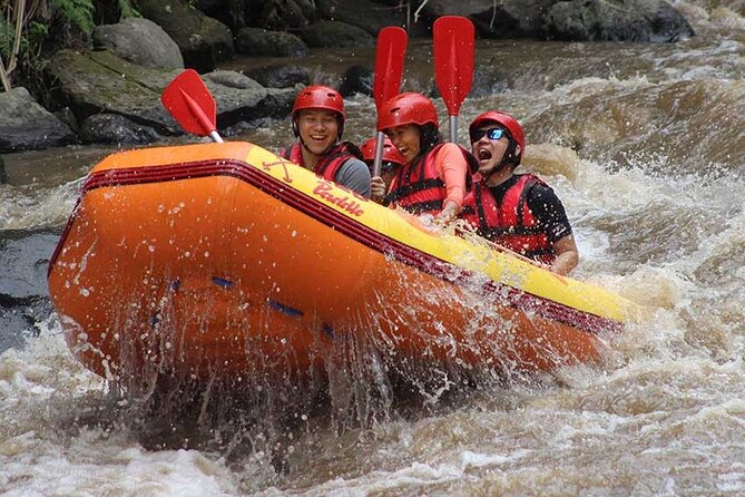 Ayung River Rafting in Ubud Including Buffet Lunch
