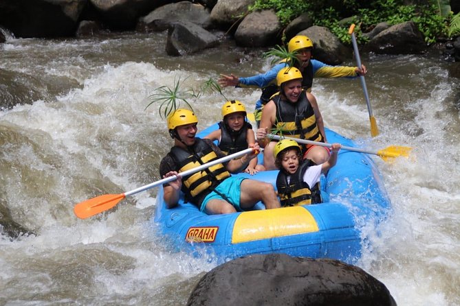 Ayung River Rafting & Ubud ATV Ride - Good To Know