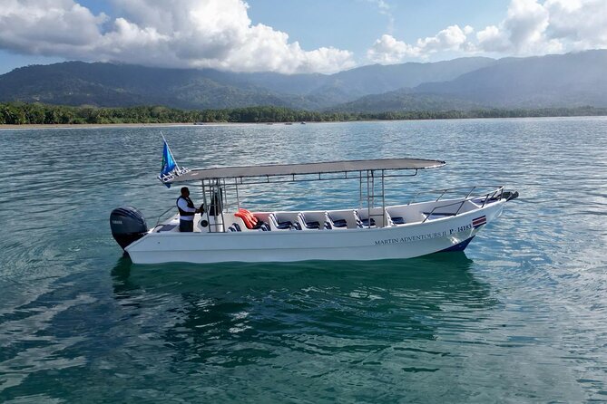 Bahia Ballena Whale and Dolphin Tour - Morning - Good To Know