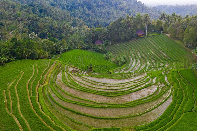 Bali Drone Photography Tour - Tour Details