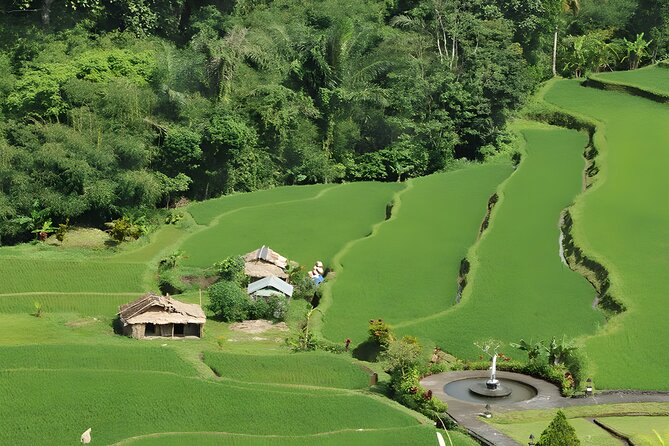 Bali Full-Day Car Charter: Beauty of North Bali Tour