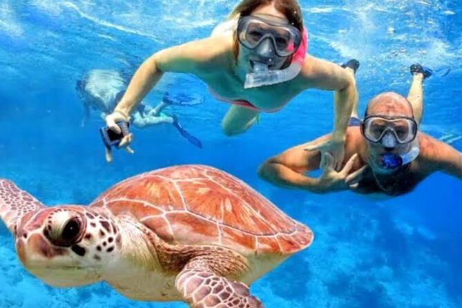 Bali Padangbai Blue Lagoon Snorkeling Private Day Trip All Inclusive - Good To Know