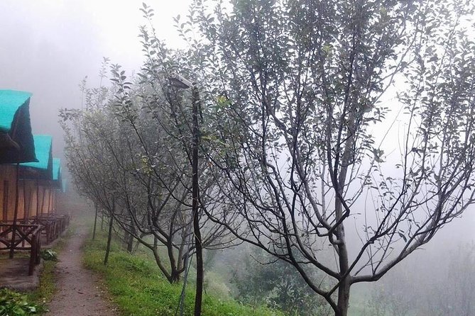 Bamboo Cottage Stay in Shimla - Location and Accommodation Details