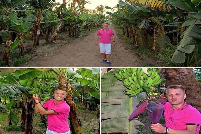 Banana Island
