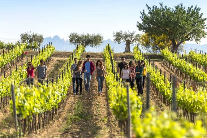 Barcelona Countryside Fullday Wine and Cava Tastings With Lunch - Good To Know