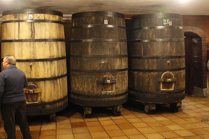 Basque Coast Day Trip - Good To Know