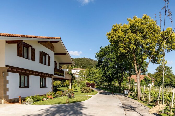 Basque Vineyard Visit: Txakoli Wine Tasting & Pintxos From Bilbao - Overview of the Experience