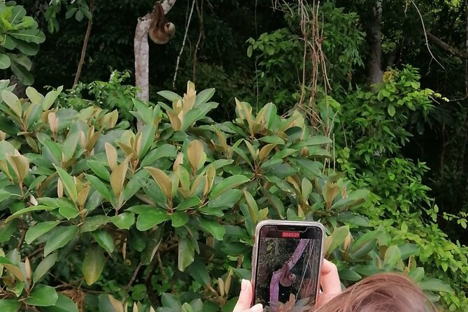 Beautiful Panama Canal Lake Nature Sightseeing - Good To Know