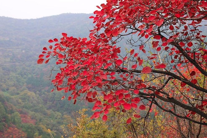 Beijing Private Tour to Summer Palace and Fragrant Hill With Cable Car Ride - Good To Know