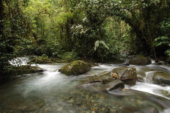 Bellavista Cloud Forest Reserve / 3 Day Tour - Good To Know
