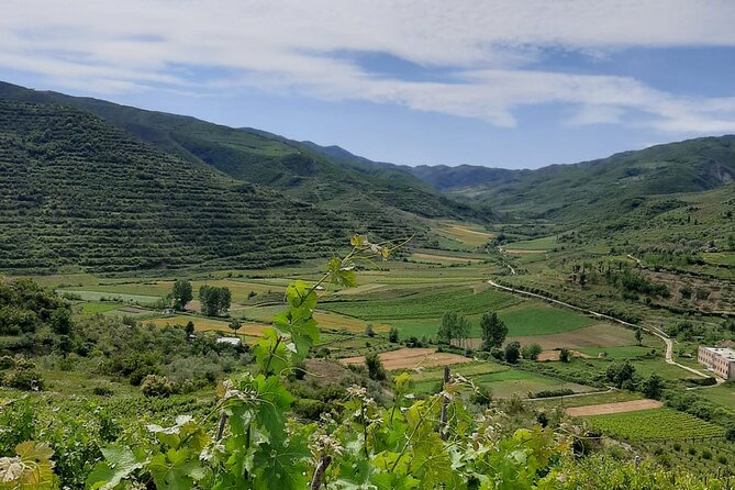 Berat 4x4 Off-Road and Vineyard Wine Tasting - Good To Know