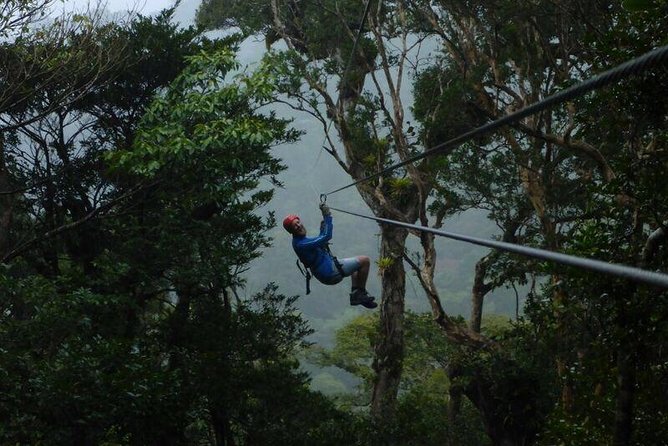 Best Zip Line Monteverde Cloud Forest - Good To Know