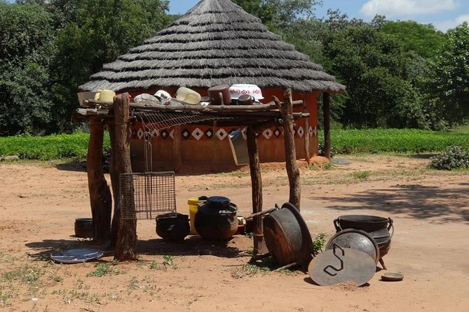 Big 5 Hwange Safari National Park Daytrip From Victoria Falls - Good To Know