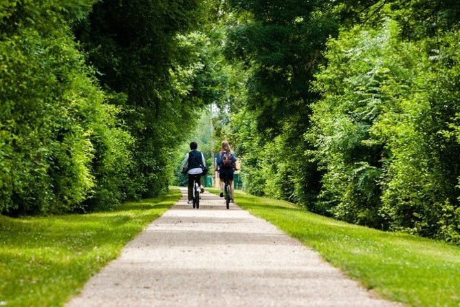 Bike Ride on the Wine Route From Sélestat - Overview of the Wine Route