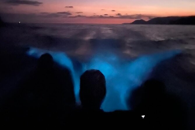 Bioluminescence Experience in Paquera With Dinner Included - Overview of Bioluminescence