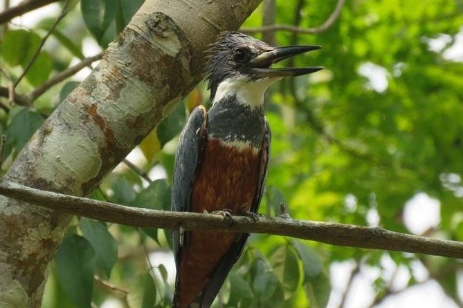 Bird Watching in Cartagena Full Day - Good To Know