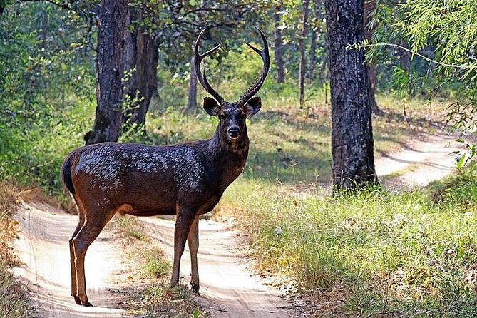 Birds and Wildlife Tour (11 Days) - Good To Know