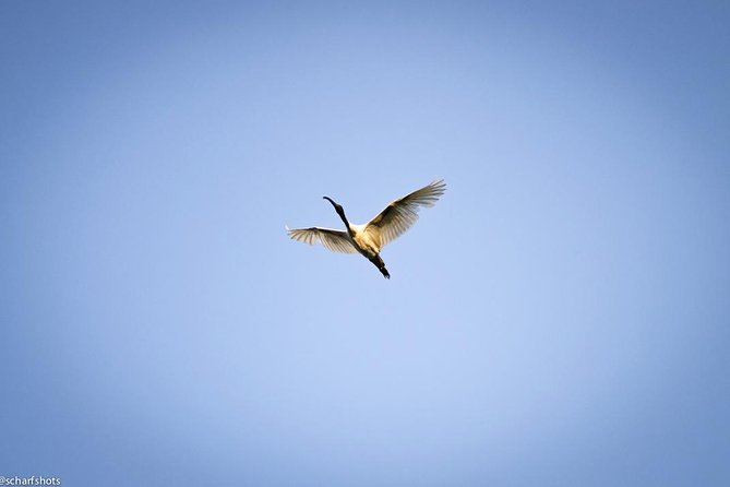 Birdwatching and Nature Walk of South Goa - Good To Know