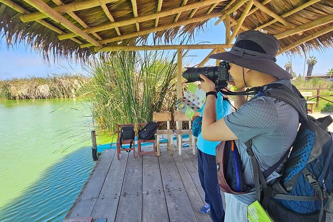 Birdwatching at La Punta With Local Food + Airport Pick up - Good To Know