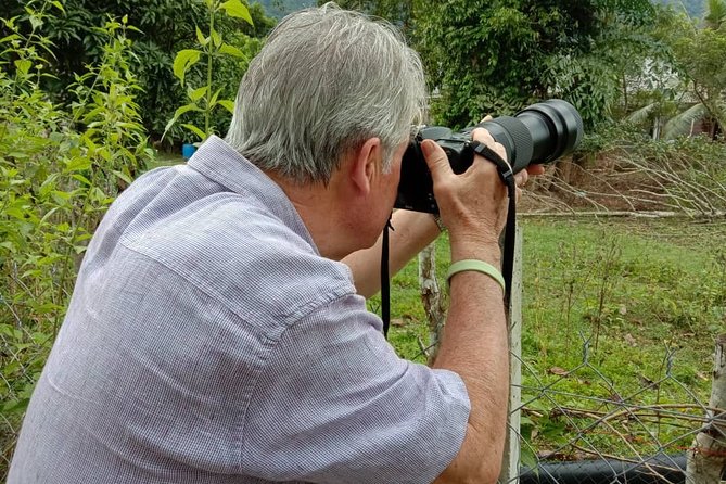 Birdwatching: Desarus Winged Gems - Good To Know