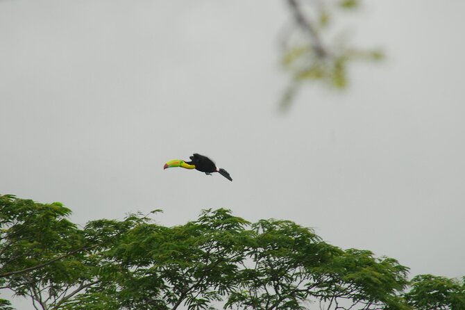Birdwatching Tour - Good To Know
