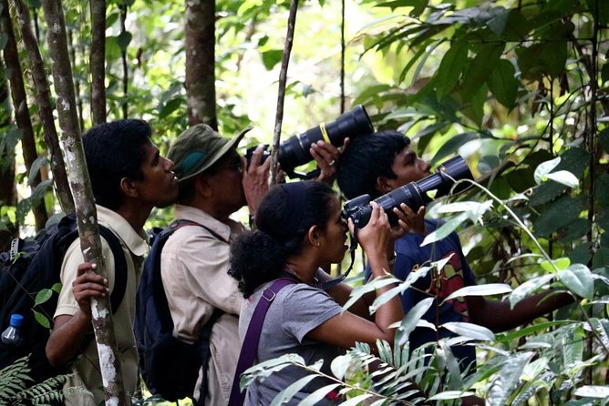 Birdwatching Walk in Sigiriya Countryside - Good To Know