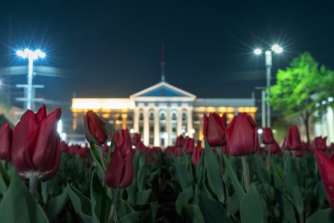 Bishkek Nightlife : How Metropolis Lives & Crafted Drinks in Bars - Good To Know
