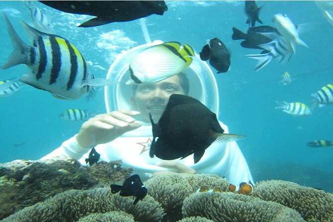 Blue Lagoon Snorkeling With Lunch and Private Transport - Good To Know