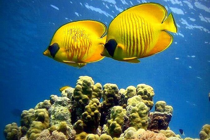 Blue Lagoon, Starfish Adventure, The Rock Restaurant, Spice Tour, Secret Garden - Good To Know