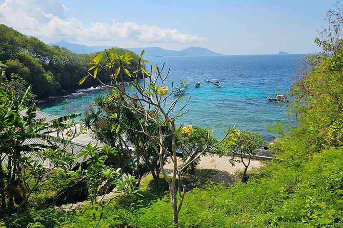 Blue Lagoon SUP and Snorkel Adventure