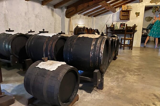 Bologna Parmesan, Wine, Balsamic Day Tour, Pasta Cooking Class - Overview of the Tour