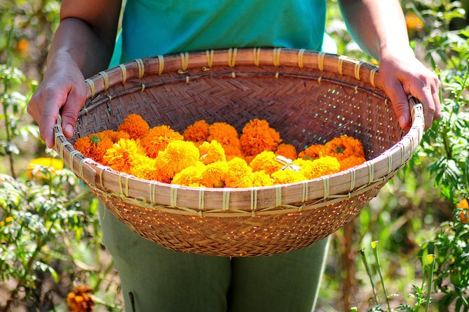 Botanical Tea Work Shop and Garden Tour - Good To Know