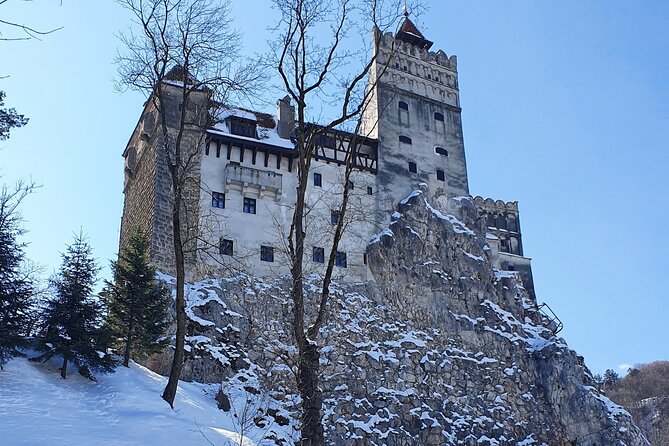 Bran Castle, Bear Sanctuary and Palinca From Brasov With Tickets - Good To Know