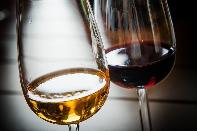 Brazilian Wine Tasting Evening