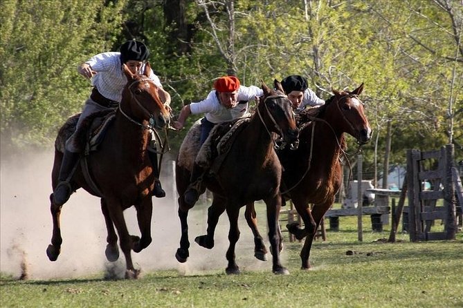 Buenos Aires Super Saver: City Tour, Gaucho Day at a Farm & Tango Dinner-Show - Overview of the Tour