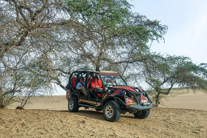 Buggy & Sandboard Adventure in Paracas - Good To Know