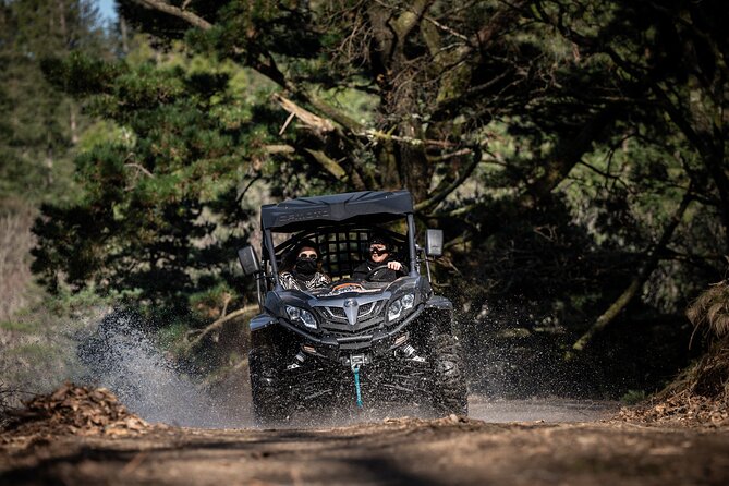 Buggy Tour in Serra Da Lousã 2 Hours - Good To Know