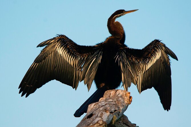 Bundala National Park Safari From Galle - Good To Know